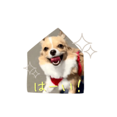 kirika_20260429174502