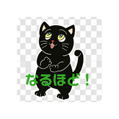 yab_20260429174526