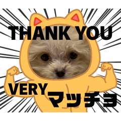 miuchan_20260429174112
