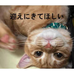 Kim_20260429183930