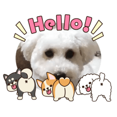friendly_2525