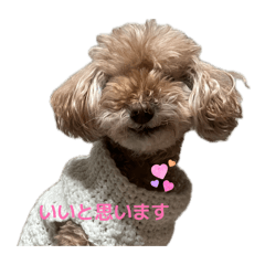 Akanen_20260429184204