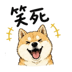 柴犬阿拜