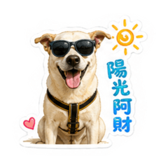 財財生活日記