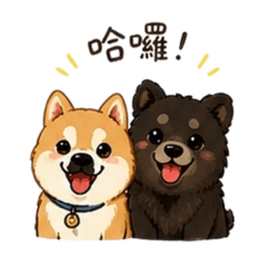 阿拜與黑糖的一天