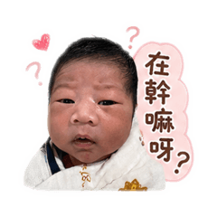 大籠包寶の撒嬌篇