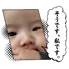 SAKI_20260429174839