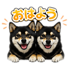 PROFESSOR HIRO. MAMESHIBA3