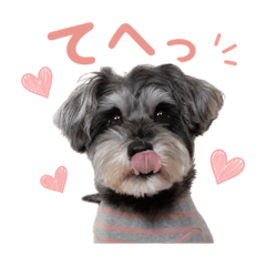 yuka_20260429175622
