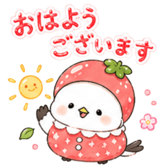 Fruit Shimaenaga_Polite Edition