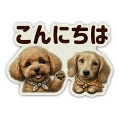 moka_20260429205738