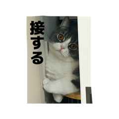 naotaka_20260429181040