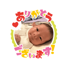 POM_20260429181735