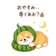 watermelon Shiba
