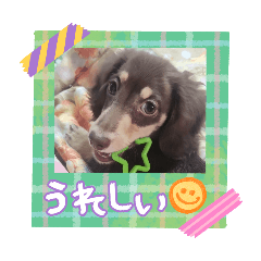 maro_20260429181910