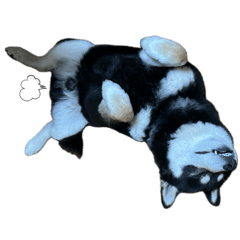 1_20260429205929