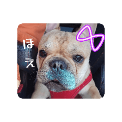 Hiori_20260429210222