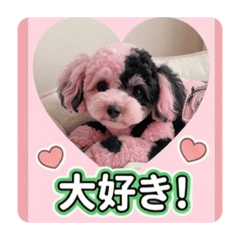 H he hfgh_20260429210435