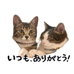 ishiishii_20260429210716