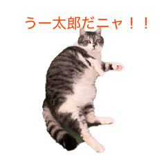 NAGAI KAZUKI_20260429210312