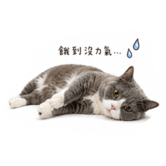 大胃王弟弟2