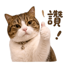 Juiceの耍可愛日常