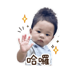 小布丁：炸毛寶寶的日常實用篇