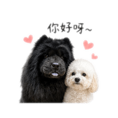張家小窩