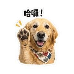 沐籽金金❹