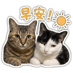 小寶和蝦皮