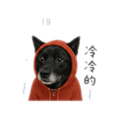 黑皮黑狗