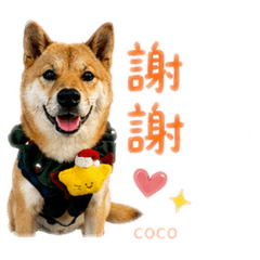 扁東co阿的生活語錄