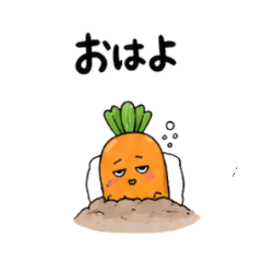 Carrot Senpai&nbsp; &nbsp;For Housewives