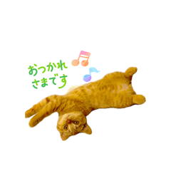 popo_20260429172712