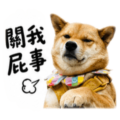 扁東co啊的跩跩日常