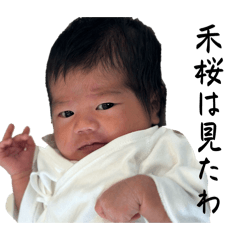 HAKUmom_20260429185558