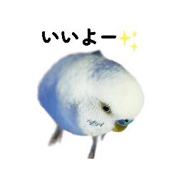 kana_20260429184953