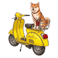 The Everyday Life of Lady Shiba