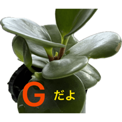 UUta_20260429185934