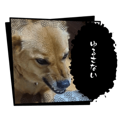 MMM_20260429221329