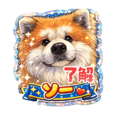 Thor-Akita dog3