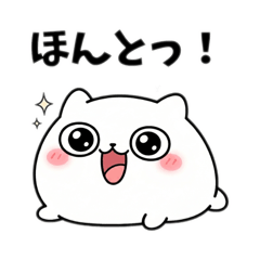 konto_20260429220740