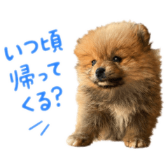 bellechan0101
