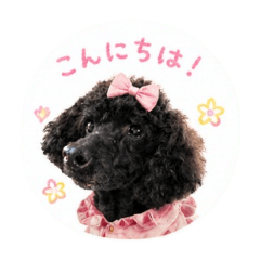 LAYLA_20260429221703