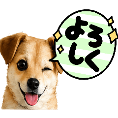 Maruko_20260429221557
