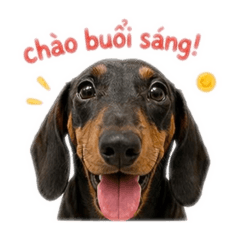 Cute Dog 16