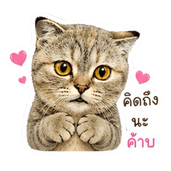 It s Moji