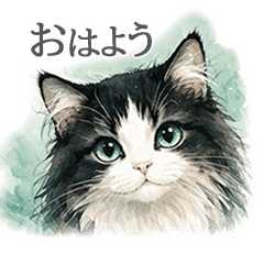 Soft Watercolor Cat [Polite Phrases]