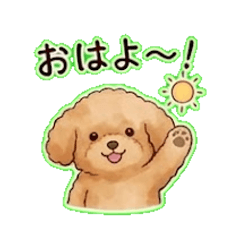 Daily Chat Stickers momo