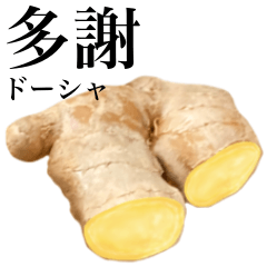 Flesh Ginger 7